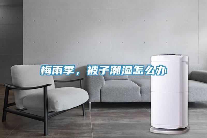 梅雨季，被子潮濕怎么辦