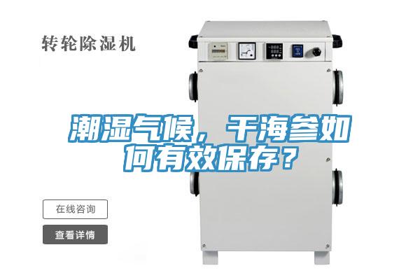 潮濕氣候，干海參如何有效保存？
