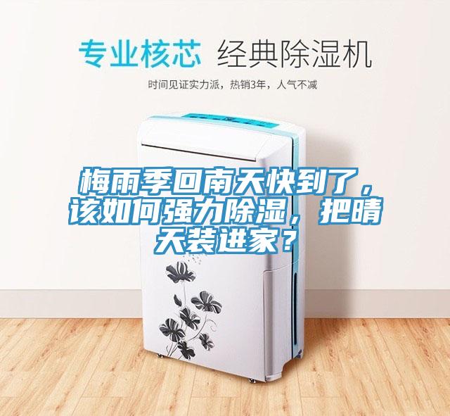 梅雨季回南天快到了，該如何強力除濕，把晴天裝進家？