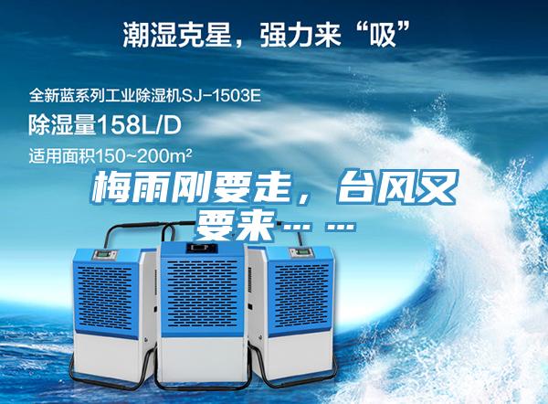 梅雨剛要走，臺(tái)風(fēng)又要來(lái)……