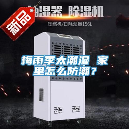 梅雨季太潮濕 家里怎么防潮？