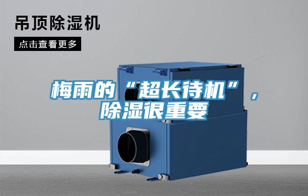 梅雨的“超長(zhǎng)待機(jī)”，除濕很重要