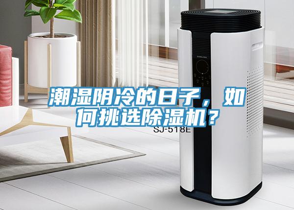 潮濕陰冷的日子，如何挑選除濕機(jī)？