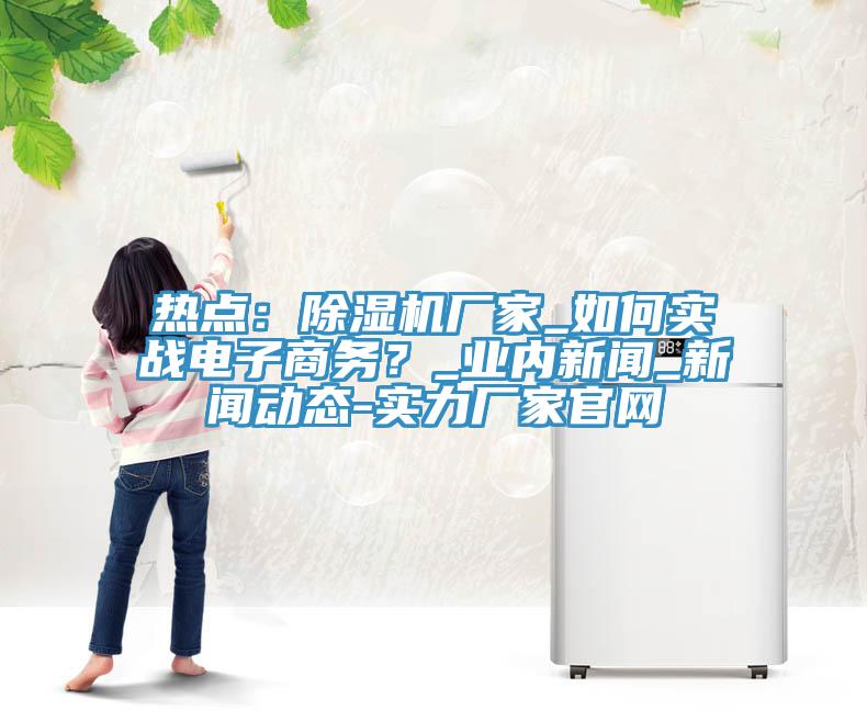 熱點：除濕機廠家_如何實戰(zhàn)電子商務(wù)？_業(yè)內(nèi)新聞_新聞動態(tài)-實力廠家官網(wǎng)