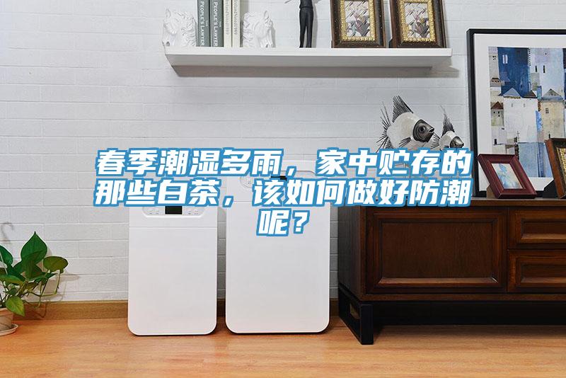 春季潮濕多雨，家中貯存的那些白茶，該如何做好防潮呢？