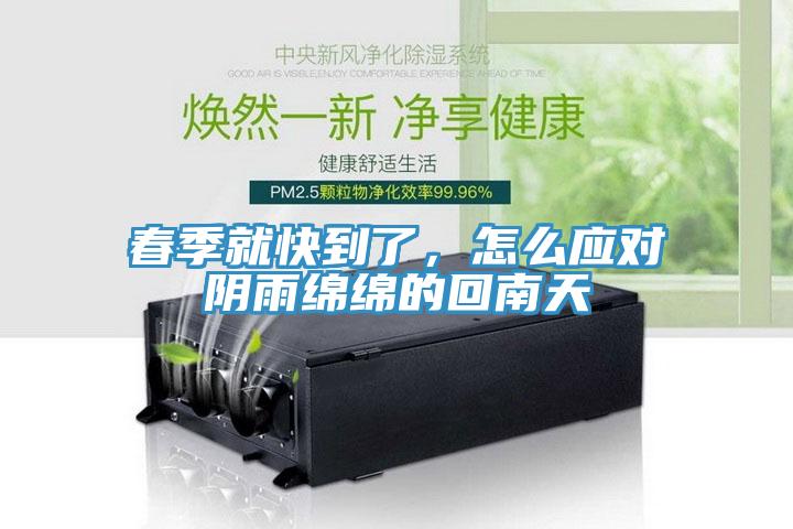 春季就快到了，怎么應(yīng)對陰雨綿綿的回南天