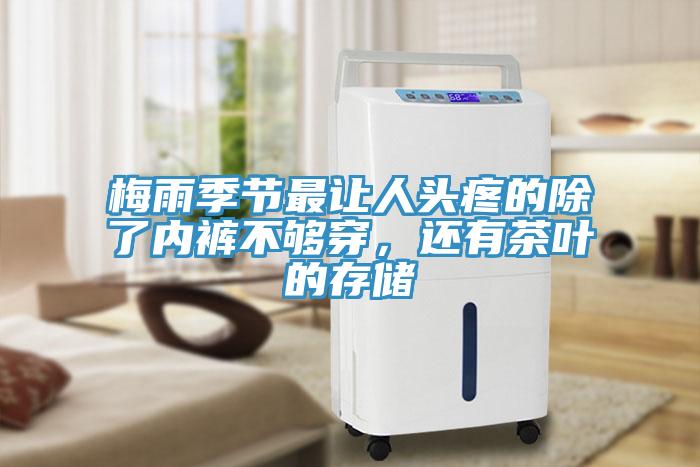 梅雨季節(jié)最讓人頭疼的除了內(nèi)褲不夠穿，還有茶葉的存儲