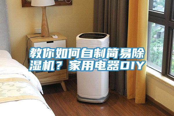 教你如何自制簡易除濕機？家用電器DIY