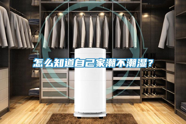 怎么知道自己家潮不潮濕？