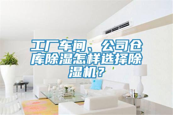 工廠車(chē)間、公司倉(cāng)庫(kù)除濕怎樣選擇除濕機(jī)？