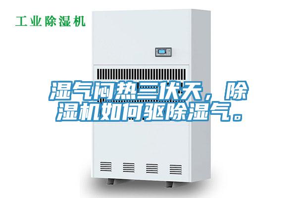 濕氣悶熱三伏天，除濕機(jī)如何驅(qū)除濕氣。