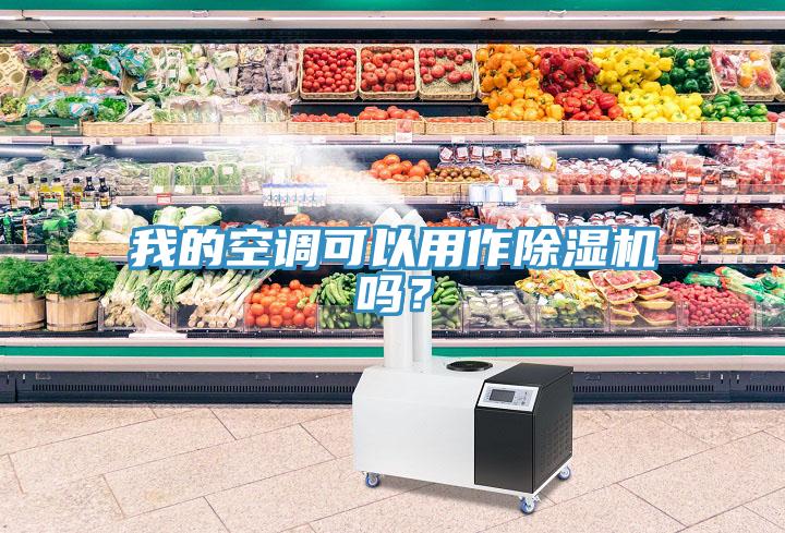 我的空調(diào)可以用作除濕機(jī)嗎？
