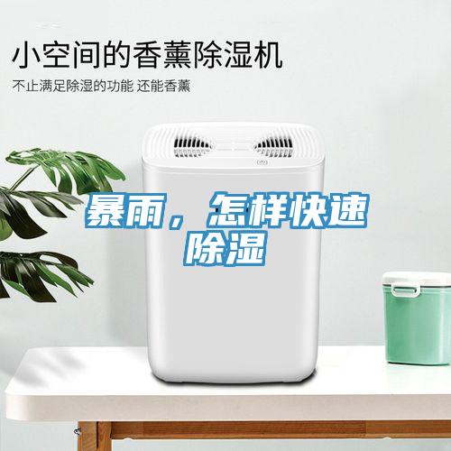 暴雨，怎樣快速除濕