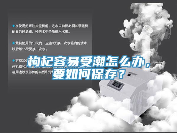 枸杞容易受潮怎么辦，要如何保存？