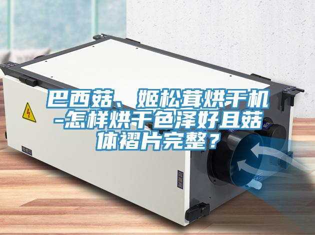 巴西菇、姬松茸烘干機(jī)-怎樣烘干色澤好且菇體褶片完整？