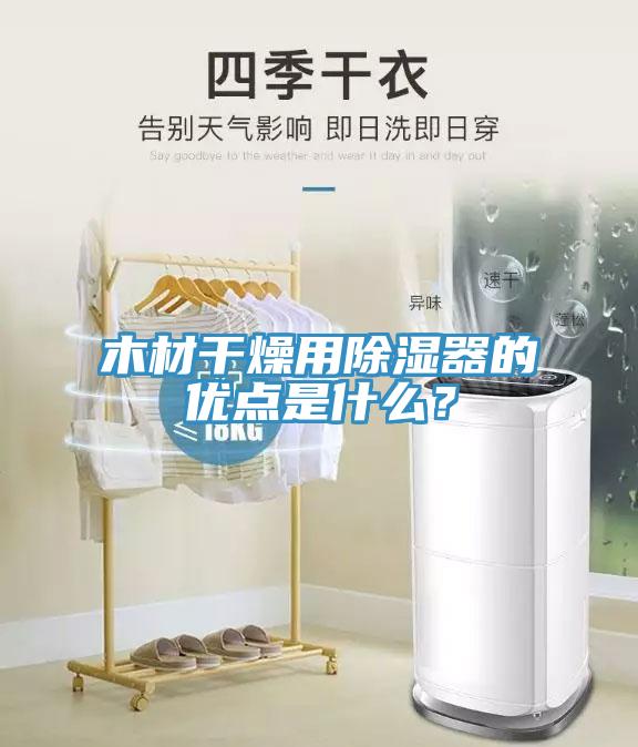 木材干燥用除濕器的優(yōu)點是什么？