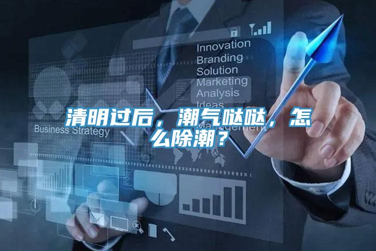 清明過后，潮氣噠噠，怎么除潮？