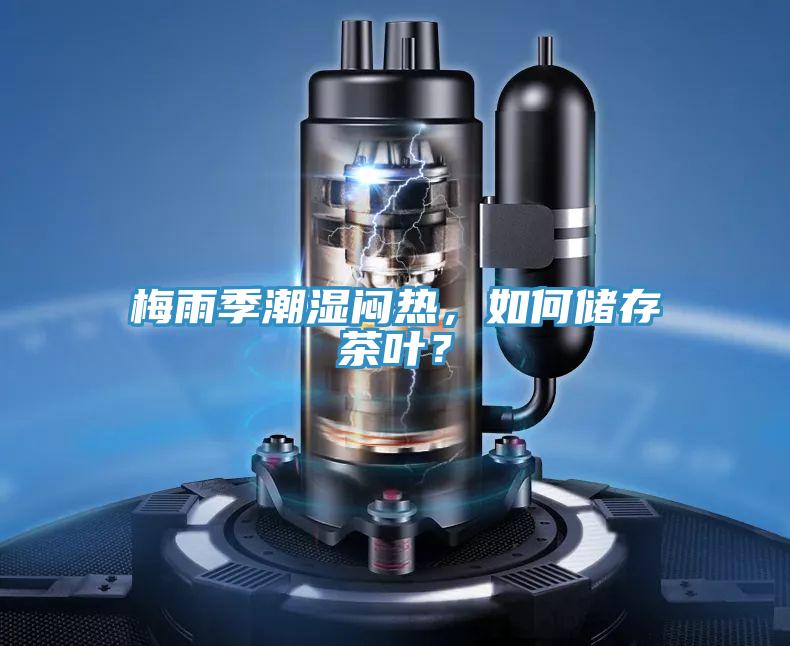 梅雨季潮濕悶熱，如何儲(chǔ)存茶葉？
