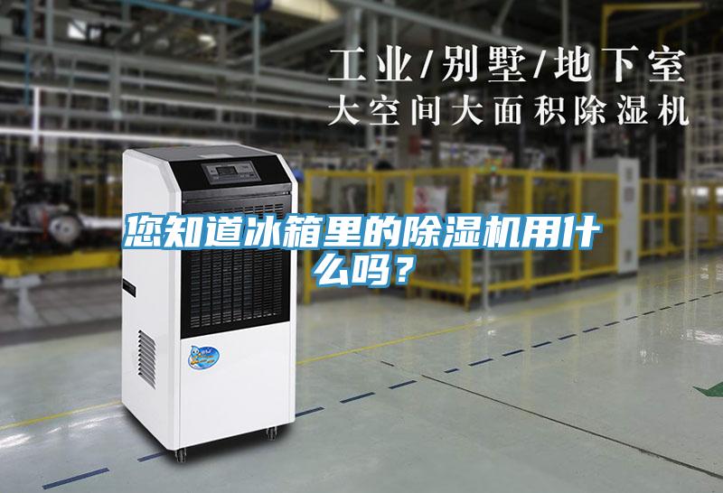 您知道冰箱里的除濕機(jī)用什么嗎？