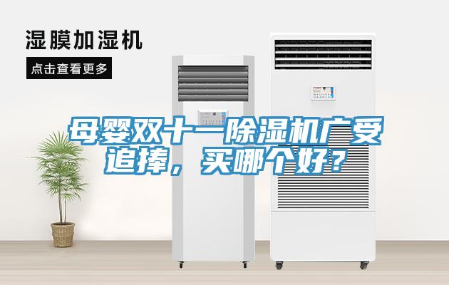 母嬰雙十一除濕機(jī)廣受追捧，買哪個(gè)好？