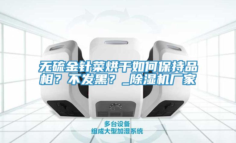 無硫金針菜烘干如何保持品相？不發(fā)黑？_除濕機廠家