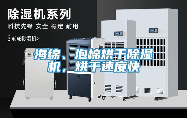 海綿、泡棉烘干除濕機(jī)，烘干速度快