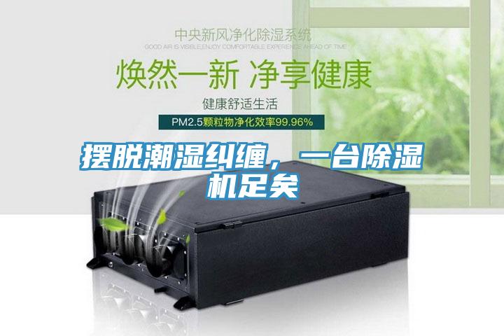 擺脫潮濕糾纏，一臺(tái)除濕機(jī)足矣
