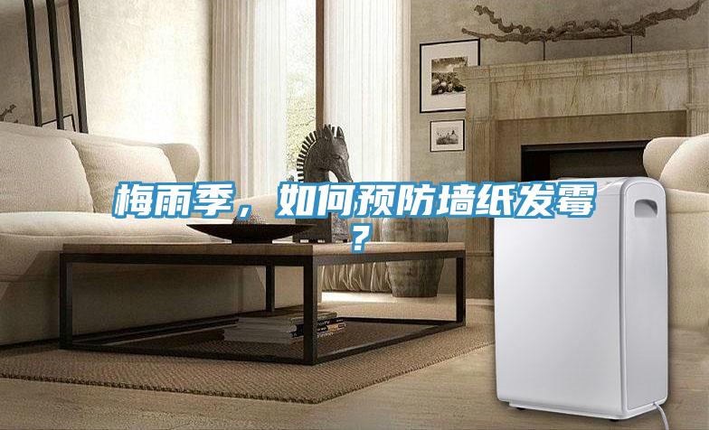 梅雨季，如何預(yù)防墻紙發(fā)霉？
