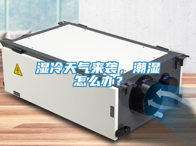 濕冷天氣來襲，潮濕怎么辦？