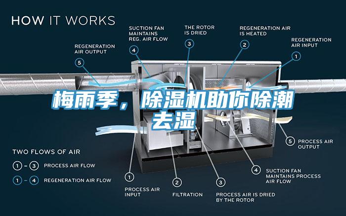 梅雨季，除濕機(jī)助你除潮去濕
