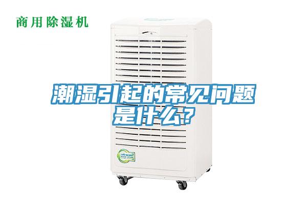 潮濕引起的常見問題是什么?