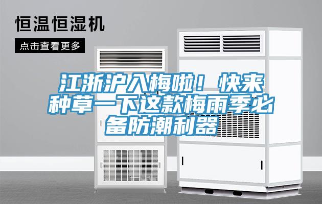 江浙滬入梅啦！快來種草一下這款梅雨季必備防潮利器