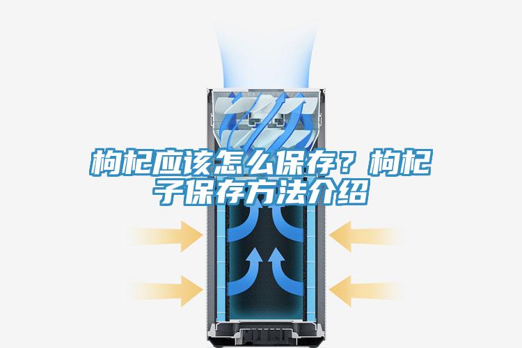 枸杞應(yīng)該怎么保存？枸杞子保存方法介紹