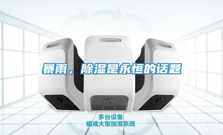 暴雨，除濕是永恒的話題