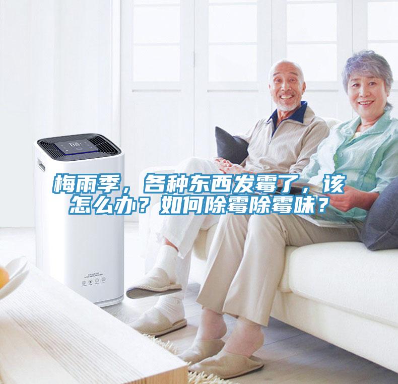 梅雨季，各種東西發(fā)霉了，該怎么辦？如何除霉除霉味？