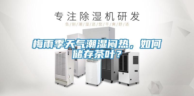 梅雨季天氣潮濕悶熱，如何儲存茶葉？
