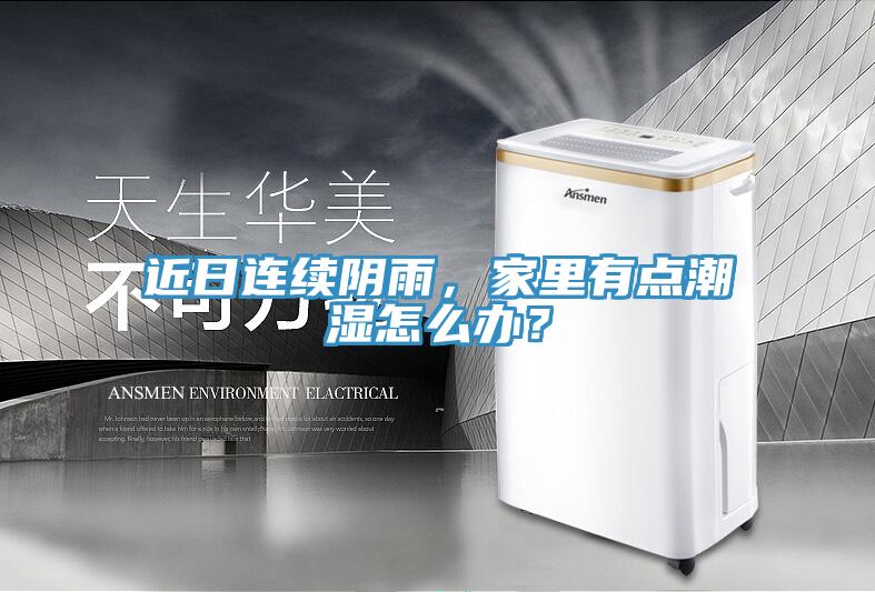 近日連續(xù)陰雨，家里有點(diǎn)潮濕怎么辦？