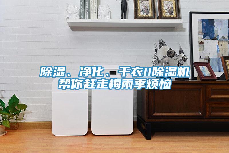 除濕、凈化、干衣!!除濕機幫你趕走梅雨季煩惱