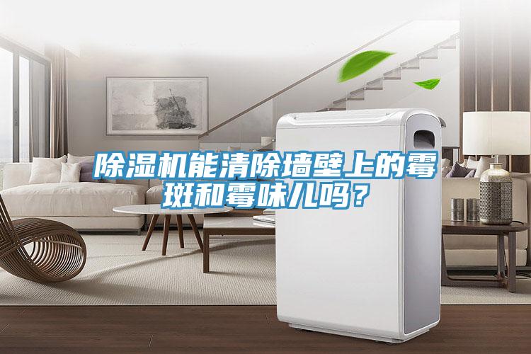 除濕機(jī)能清除墻壁上的霉斑和霉味兒?jiǎn)幔?/></p>
                            <p style=