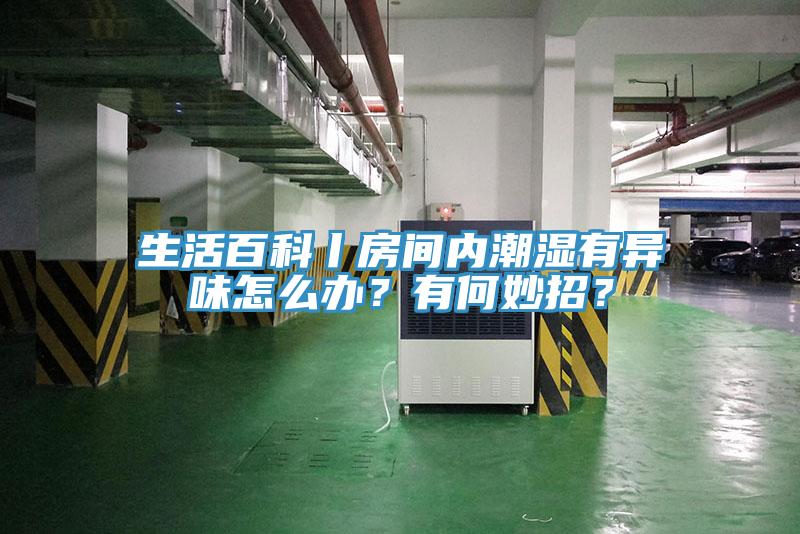 生活百科丨房間內(nèi)潮濕有異味怎么辦？有何妙招？