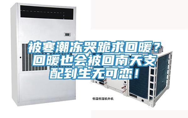 被寒潮凍哭跪求回暖？回暖也會被回南天支配到生無可戀！