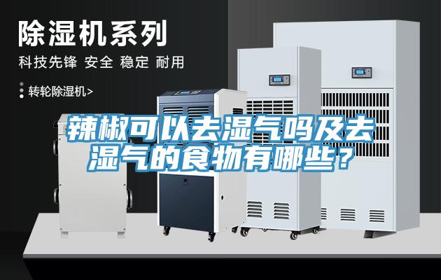 辣椒可以去濕氣嗎及去濕氣的食物有哪些？