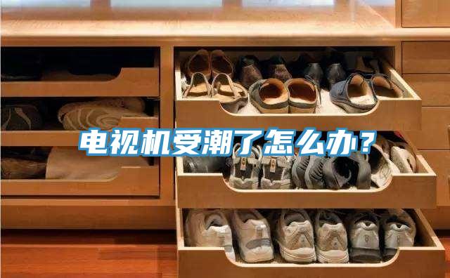 電視機(jī)受潮了怎么辦？