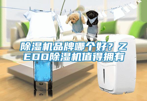 除濕機(jī)品牌哪個(gè)好？ZEDO除濕機(jī)值得擁有