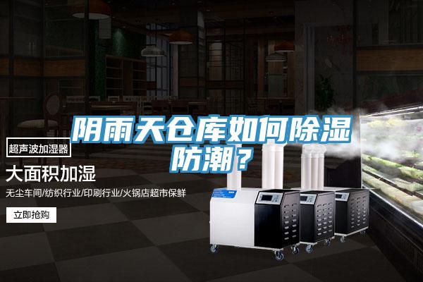 陰雨天倉(cāng)庫(kù)如何除濕防潮？