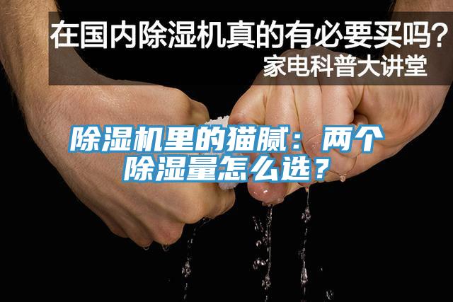 除濕機(jī)里的貓膩：兩個除濕量怎么選？