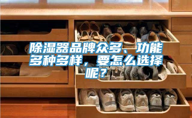 除濕器品牌眾多、功能多種多樣，要怎么選擇呢？
