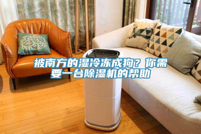 被南方的濕冷凍成狗？你需要一臺除濕機的幫助