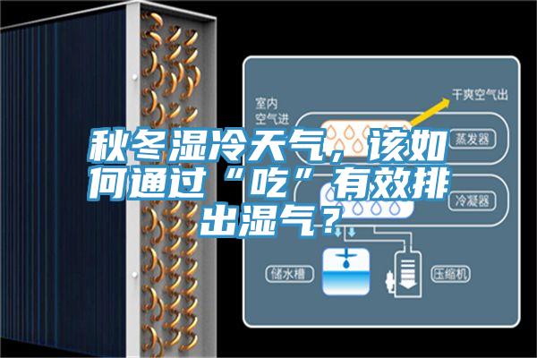 秋冬濕冷天氣，該如何通過(guò)“吃”有效排出濕氣？