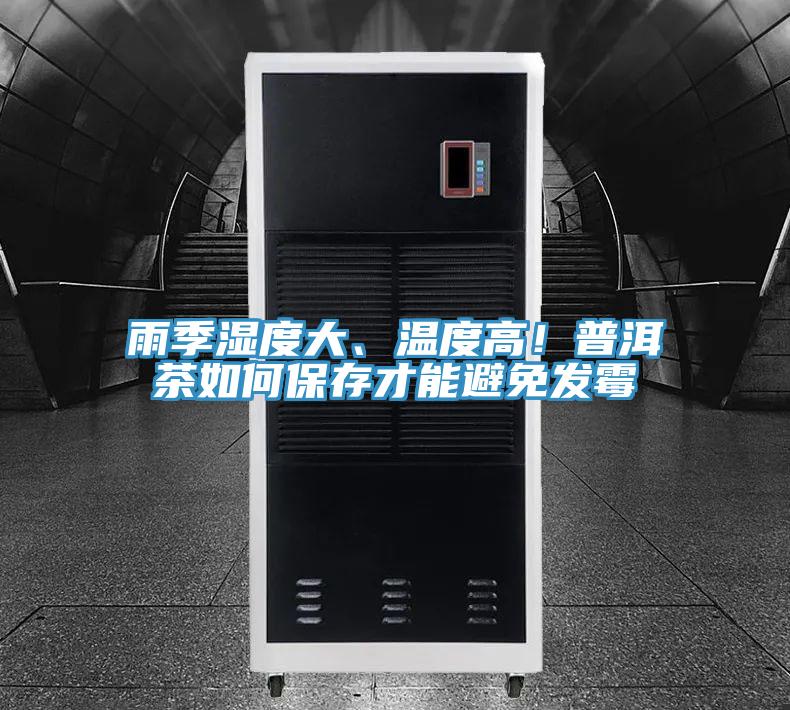 雨季濕度大、溫度高！普洱茶如何保存才能避免發(fā)霉